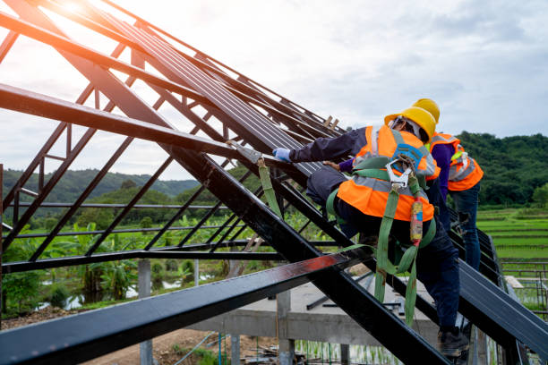 Best Roof Gutter Cleaning  in Menard, TX